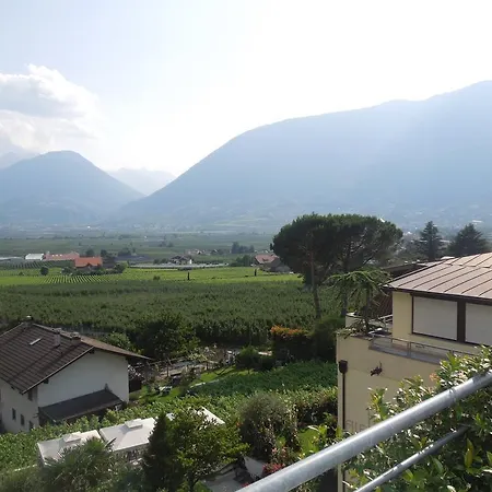 Hotel Alexander 4*