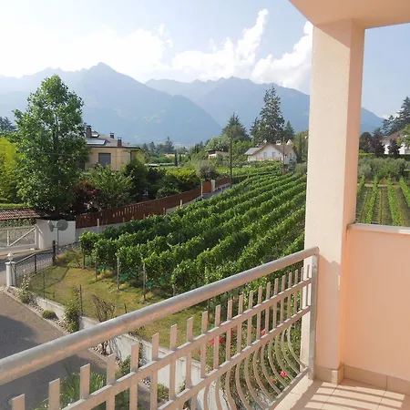 Hotel Alexander 4*